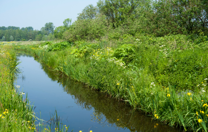 Verbod op pompen van water uit beken, sloten en rivier vanwege droogte