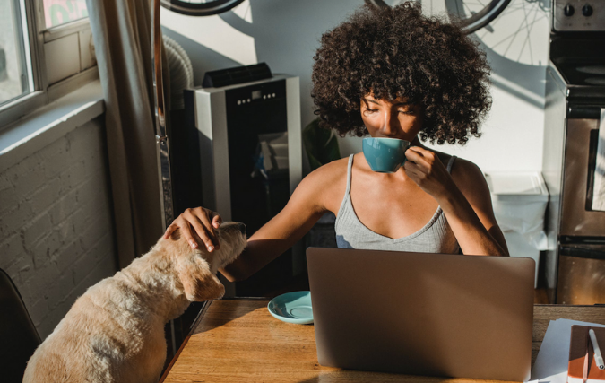 Zonder problemen je hond mee naar je werk