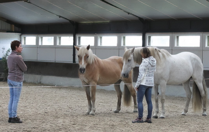 Nieuwe samenwerking in re-integratie
