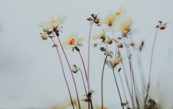 Zo krijgt je kantoor een gezellige uitstraling!