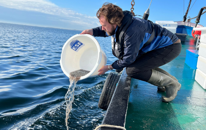 Nederlandse sector kritisch over nieuwe EU-maatregelen paling