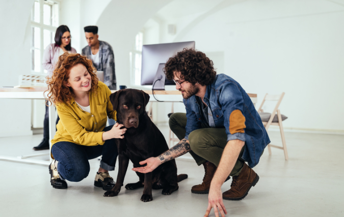 Ontwikkelingen binnen dierenspeciaalzaken 