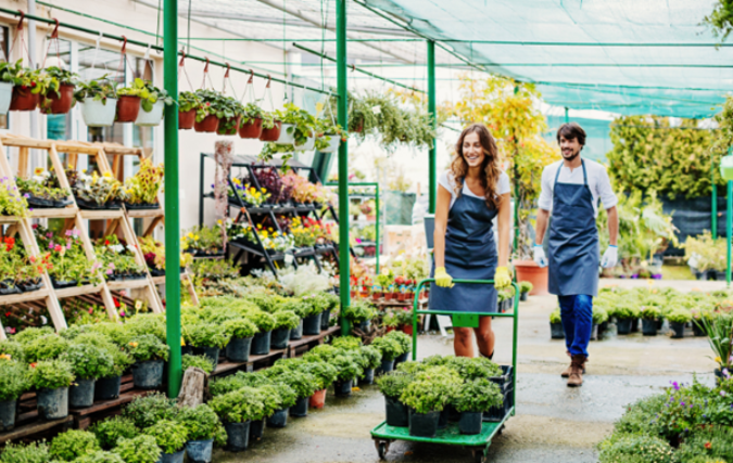 Omzet tuincentra vs kampeerwinkels in Nederland