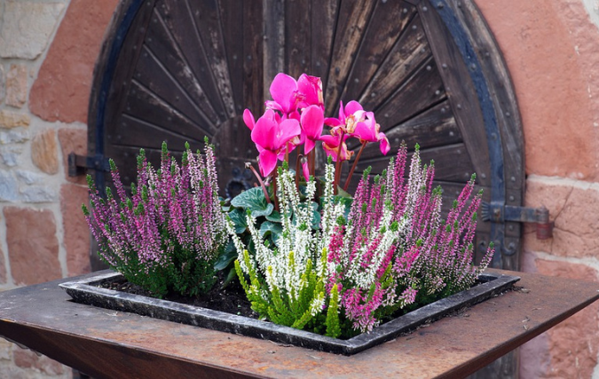 Cortenstaal plantenbakken: de trend voor elke kantoortuin!