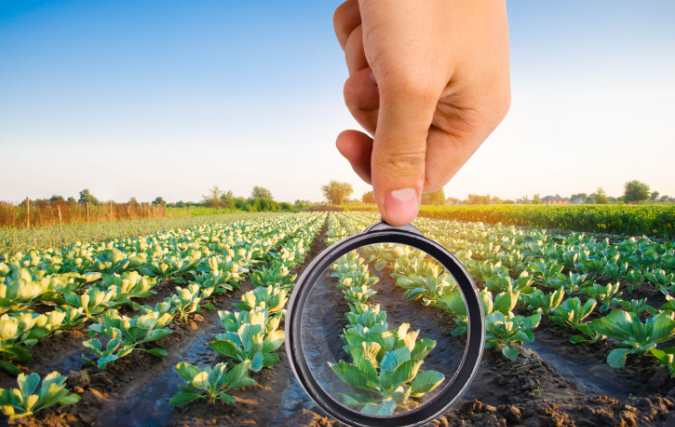 Succesvol overstappen naar een carrière in de food & industry sector