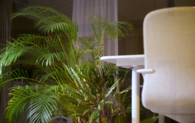 Raambekleding als slimme investering voor je bedrijfspand