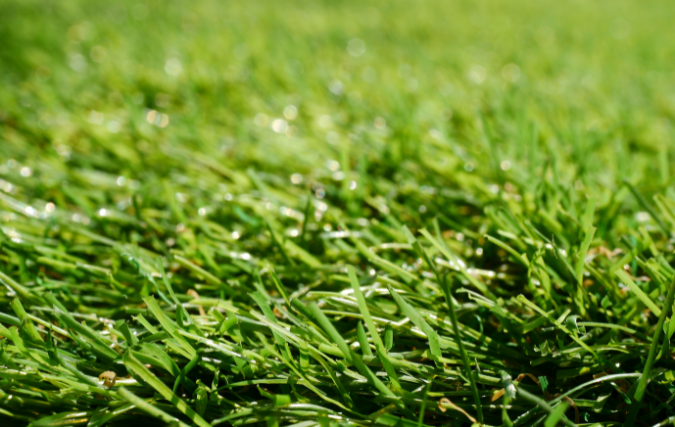 Kunstgras kopen, zelfs handig voor ondernemingen