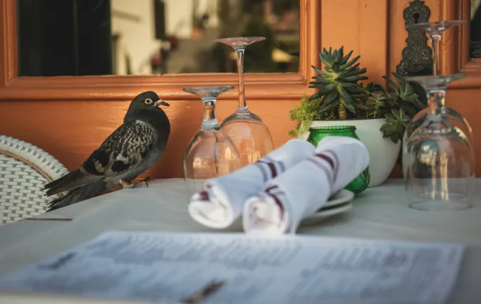 De kunst van het menu: Hoe een goede menukaart bijdraagt aan de eetervaring