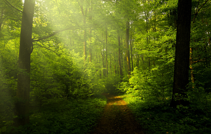 Agrifacts onderzoek: 'Stikstofneerslag niet maatgevend voor kwaliteit natuurgebieden'