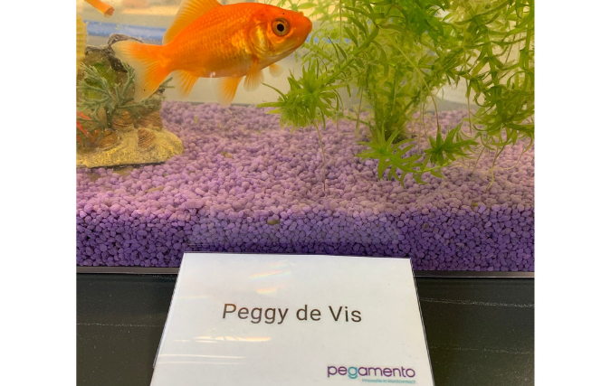 ‘Fish on Wheels’ Peggy maakt tekening voor KWF