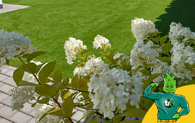 Ook bedrijven kiezen vaker voor kunstgras