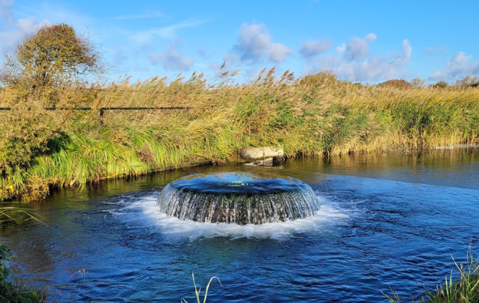 RIWA-Rijn: Waterkwaliteit Rijn blijft achter bij doelstellingen