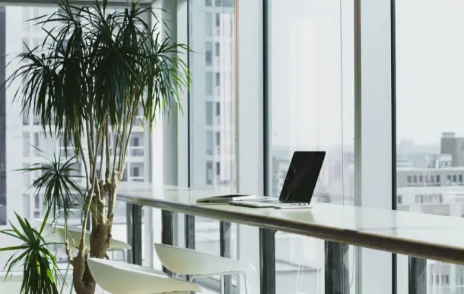 Whello: groeien door visie, diversiteit en innovatie