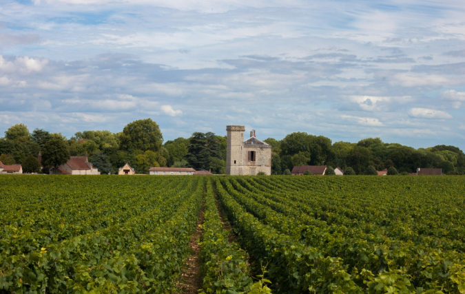 Bourgogne: waar vakmanschap, schaarste en waarde samenkomen